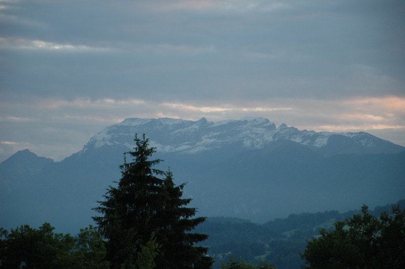 DSC_0347.JPG