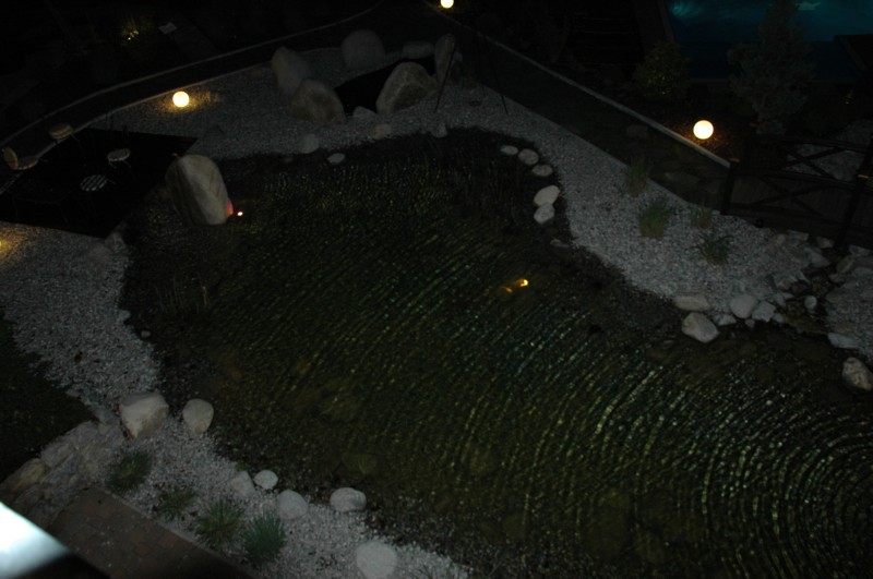 DSC_0412.JPG